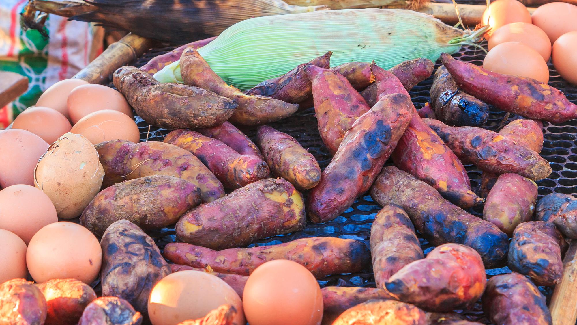 Mummified poop reveals a diverse ancient Caribbean diet | Popular ...