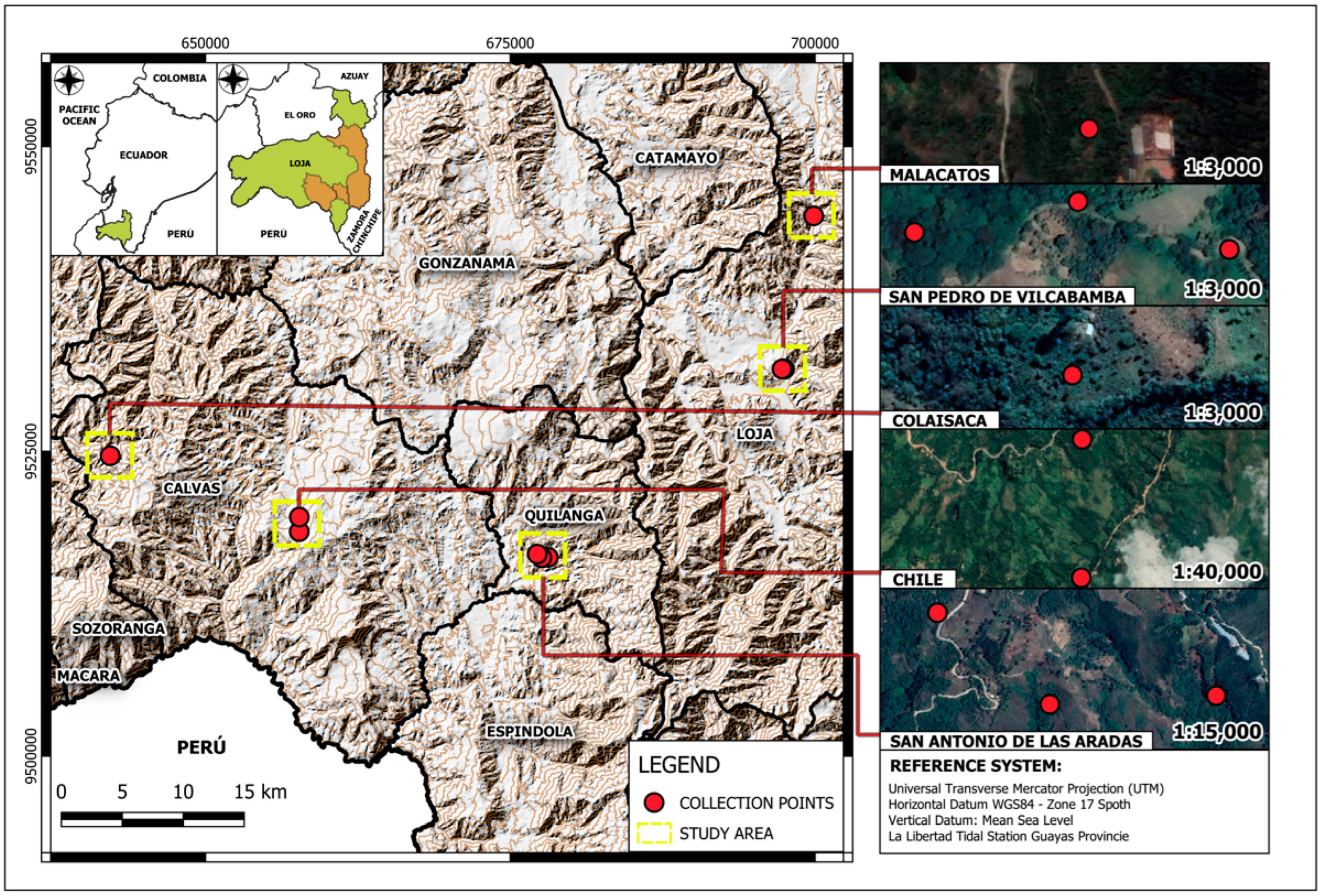 Fungal Diversity Detected by ITS-5.8S from Coffea arabica Leaves ...