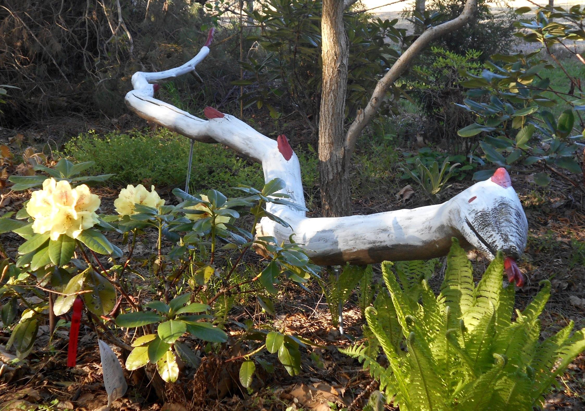 Exotic Art Garden